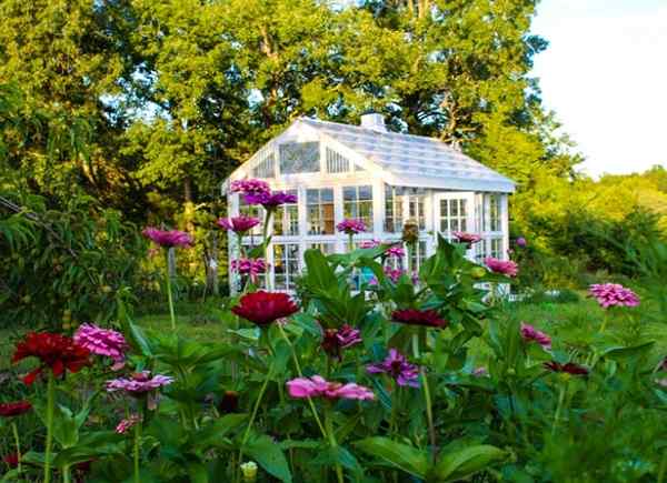 12 Planos de Greenhouse DIY para jardineiros com um orçamento