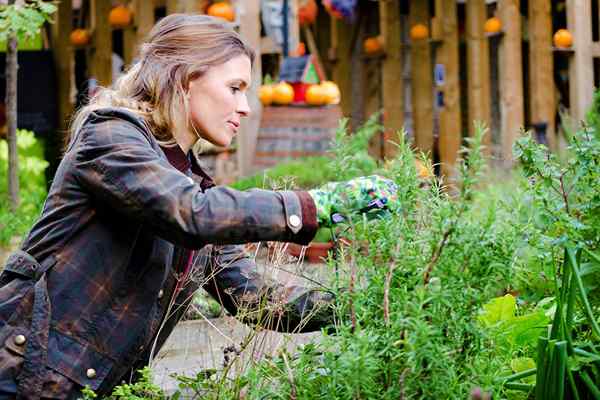 Schließen Sie Ihren Sommergarten 5 Tipps, um das Beste aus dieser Übergangszeit zu machen