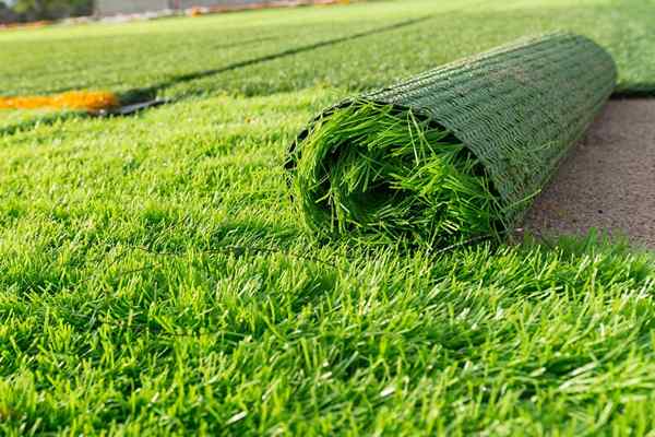 Wie viel kostet künstliches Gras??