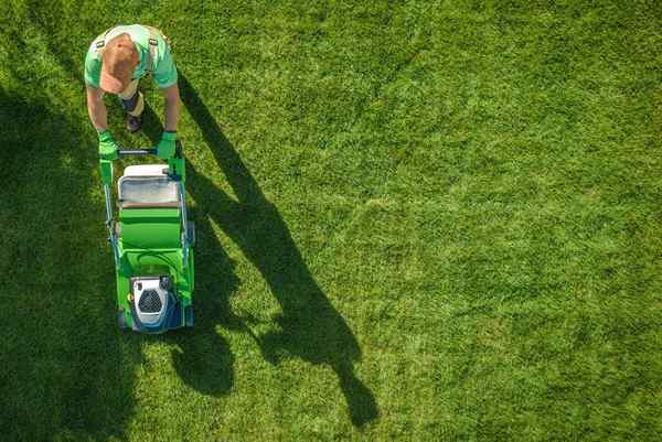 Quanto custa o cuidado do gramado? A quebra de custo de grama e manutenção