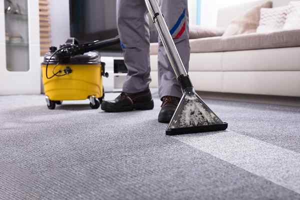 Quanto custa a limpeza profissional de carpetes?