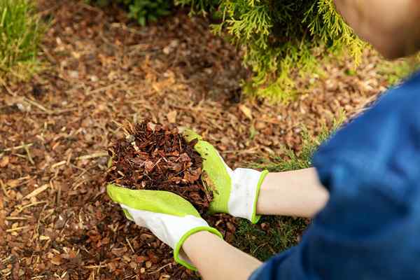 Wie viel kostet ein Hof Mulch??