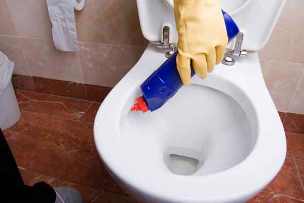 Cara membuat pembersih mangkuk toilet DIY