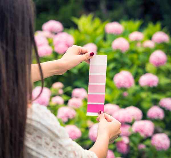 Comment assortir la peinture de nos méthodes de vieille école et de haute technologie préférées