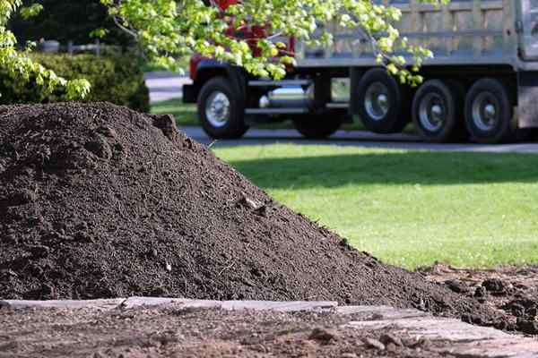 Cara Memilih Perkhidmatan Penghantaran Topsoil Terbaik Setelah Mencari 'Penghantaran Topsoil Berhampiran Saya'