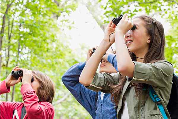 Les meilleures jumelles pour les enfants de 2023