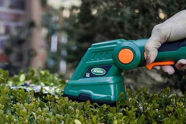 Les meilleurs cisaillements d'herbe sans fil de 2023