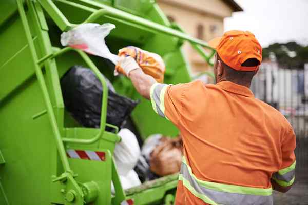 Los mejores servicios de eliminación de basura de 2023