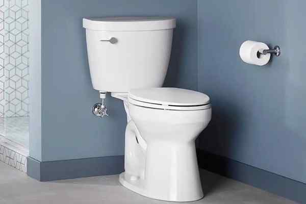 Toilet kohler terbaik tahun 2023