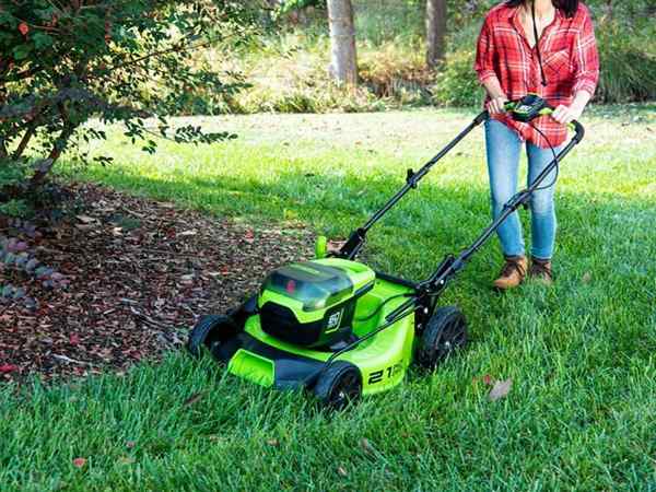 Tawaran Pemotong Rumput Terbaik 2022 Greenworks, Sun Joe, dan banyak lagi