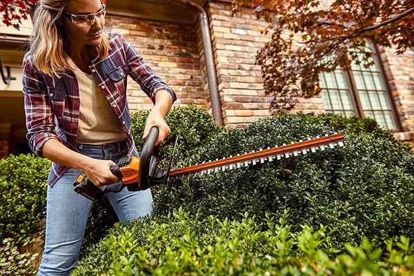 Die besten Power -Hedge -Trimmer von 2023