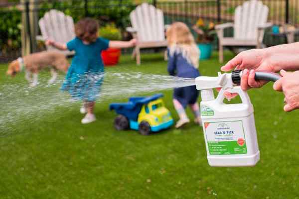 Os melhores sprays de carrapato para jardas de 2023