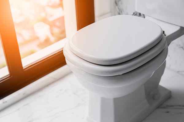 Les meilleurs sièges de toilette de 2023