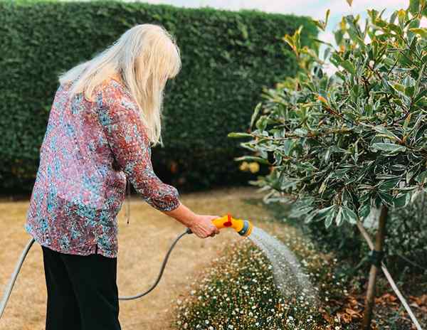 Restrictions d'eau d'altération comment sauver votre paysage des effets de la sécheresse