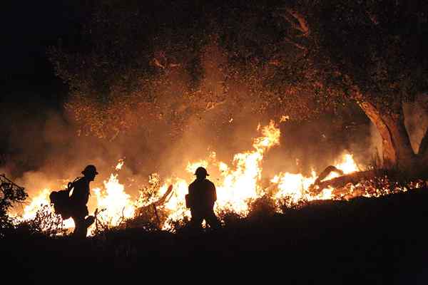 6 lugares en la u.S. Donde las casas son casi poco asegurables debido a los incendios forestales