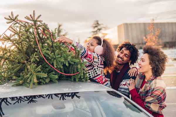 8 Mitos de cuidado de los árboles de Navidad rotados