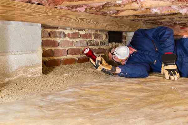 Wie viel kostet Crawl Space Cleaning kosten??