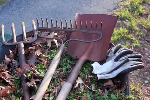 So reinigen und pflegen Sie Ihre Gartenwerkzeuge