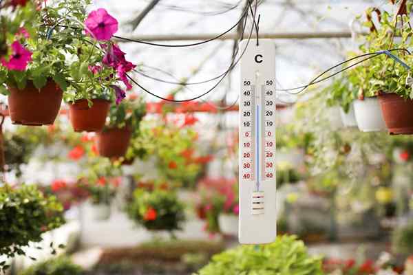 Cómo calentar un invernadero