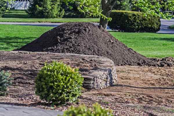 Cómo contratar el mejor servicio de entrega de suelo de jardín cerca de usted