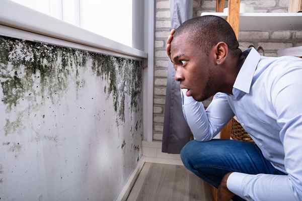 Résolu! Est-ce que les propriétaires d'assurance habitation couvrent le moule?