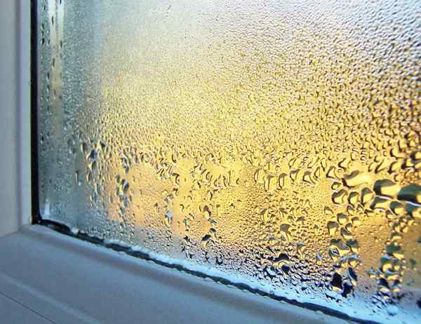 Résolu! Que faire de la condensation sur Windows