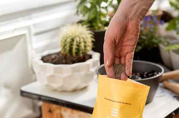 Los mejores fertilizantes para los tomates de 2023