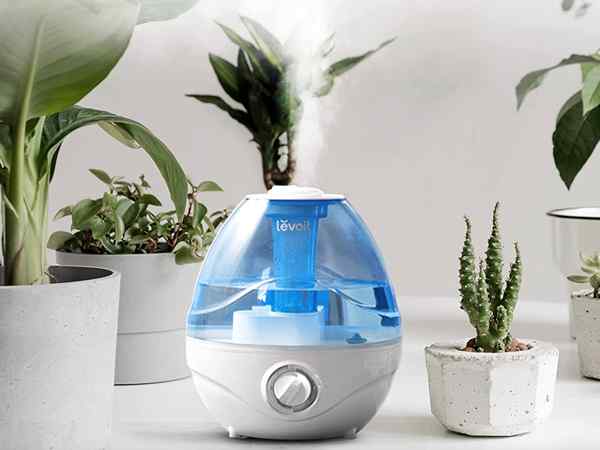 Los mejores humidificadores para las plantas de 2023