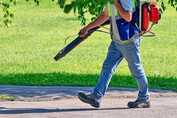 Os melhores serviços de controle de mosquitos de 2023