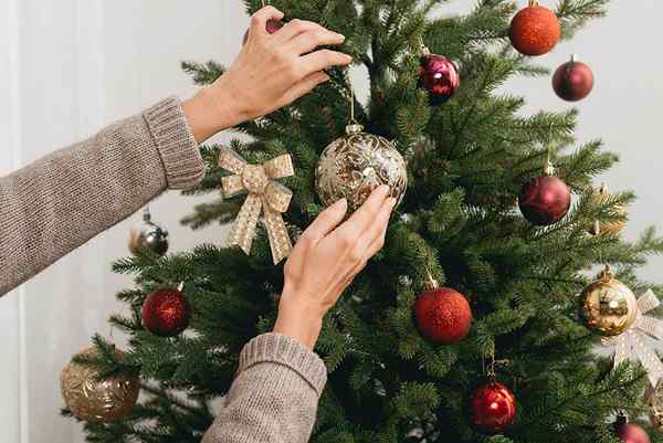 Les meilleurs endroits pour acheter des arbres de Noël en 2023