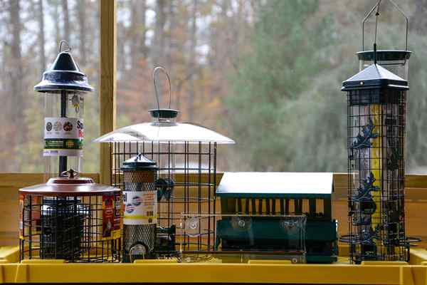 Les meilleurs mangeoires d'oiseaux imperméables d'écureuil testées en 2023