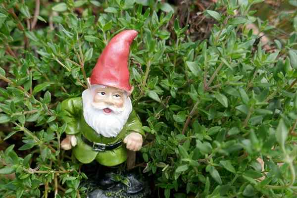 La fascinante historia de los gnomos de jardín y por qué deberías comprar uno