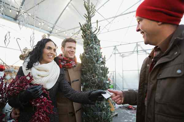 Hadiah taman yang mengejutkan di pokok Krismas anda