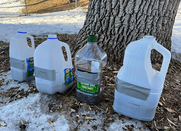 Ce hack de jardinage d'hiver séculaire vous fera gagner du temps (et de l'argent!) Venez le printemps