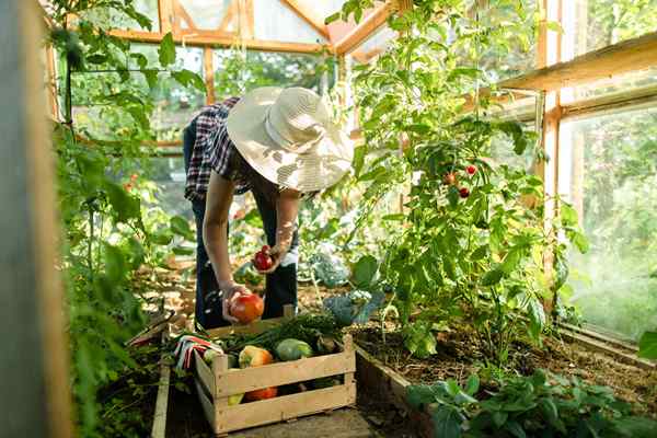 10 maneras de crecer orgánica en un poco de poco