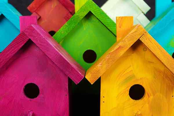 12 planes de casa de aves para construir casas para sus amigos emplumados