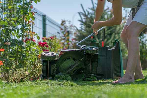 14 Lawn Mengurangkan Kesalahan Semua Orang Membuat (dan Cara Membaikinya)