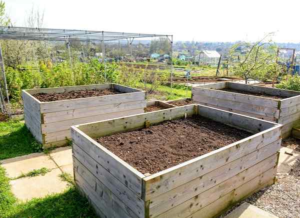 14 plans de lit de jardin surélevés pour construire la parcelle parfaite