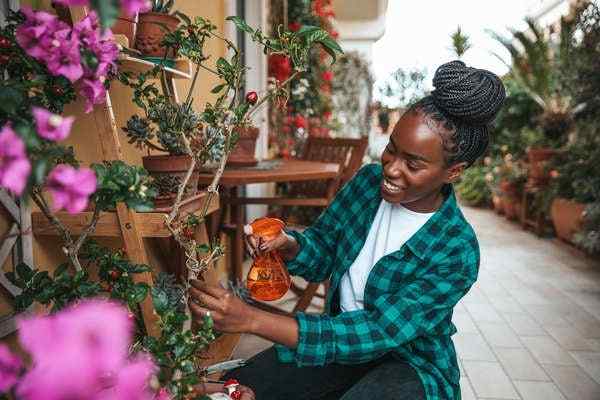 25 plantes de patio luxuriantes pour votre coin salon extérieur