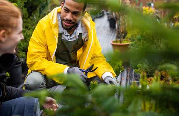 Beyond Grow and Mow 11 Perkara yang Anda Tidak Tahu Landscaper Anda Boleh Lakukan