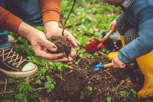 Proyectos Must Do de Bob Vila para abril