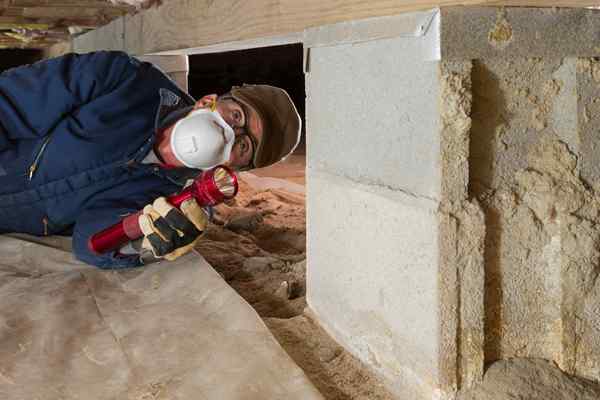 Combien coûte une inspection des termites?