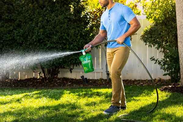 Cómo reducir el pH del suelo para un césped próspero y plantas sanas