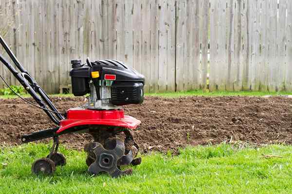 Comment assurer un jardin de la bonne façon