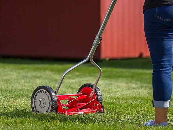 Mesin Lawn Mowers Terbaik 2023