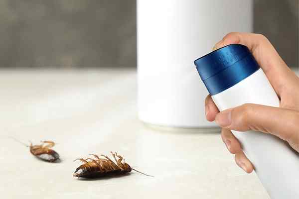 Les meilleurs insecticides de 2023