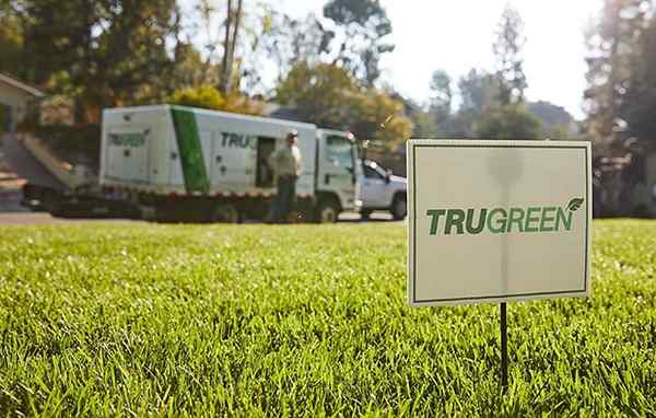 Trugreen offre presque tous les services de pelouse qu'un propriétaire aurait besoin - sauf pour celui que nous ne pouvons pas ignorer